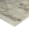 Msi Silver Canyon Splitface Ledger Panel 6" X 24" Marble Wall Tile, 6PK ZOR-PNL-0042